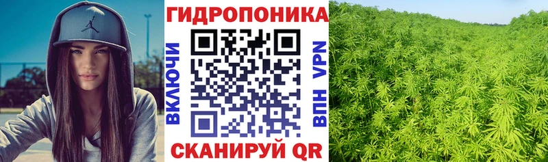 Бошки Шишки OG Kush Краснотурьинск